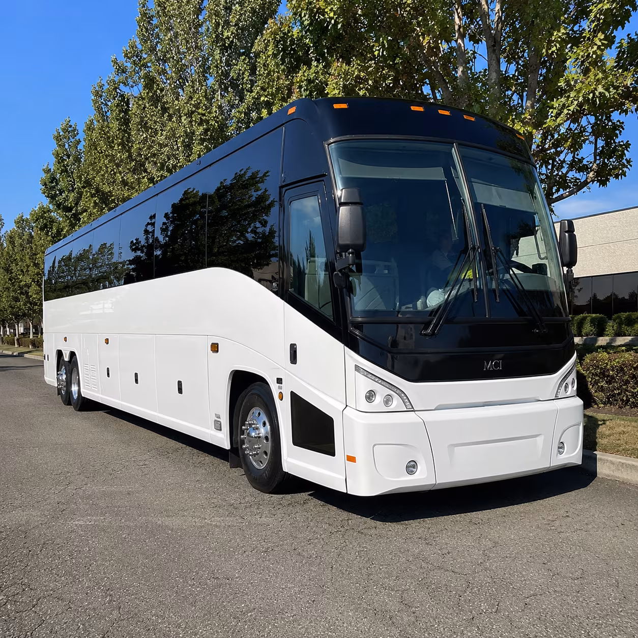 duluth 50 passenger charter bus