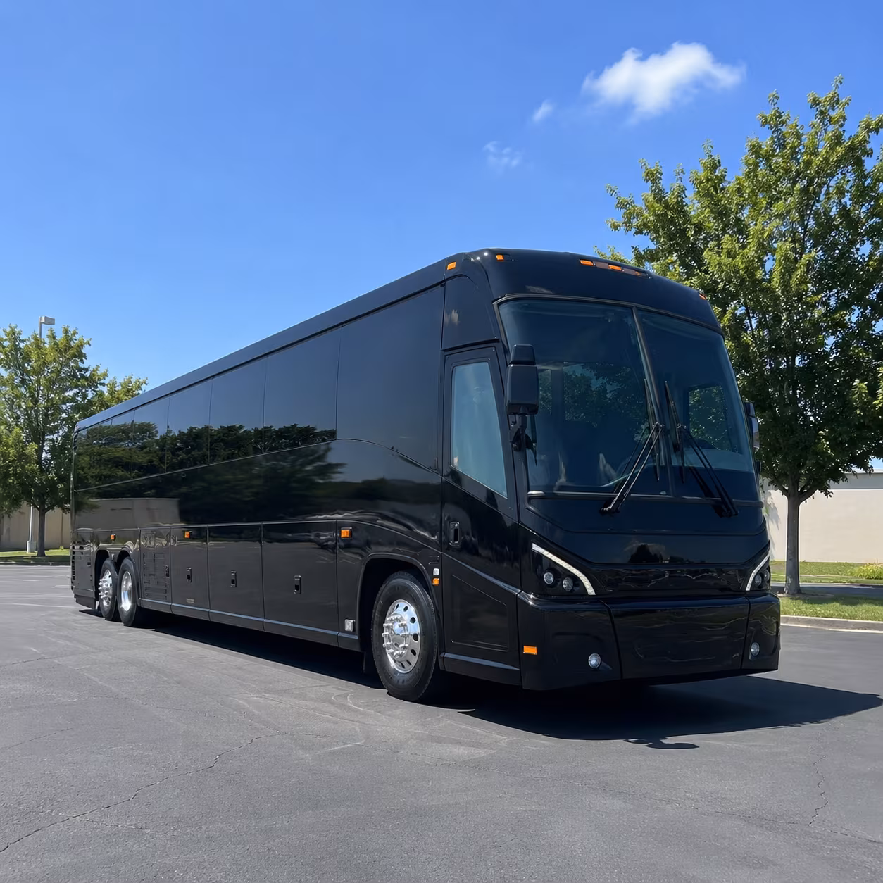 duluth 56 passenger charter bus